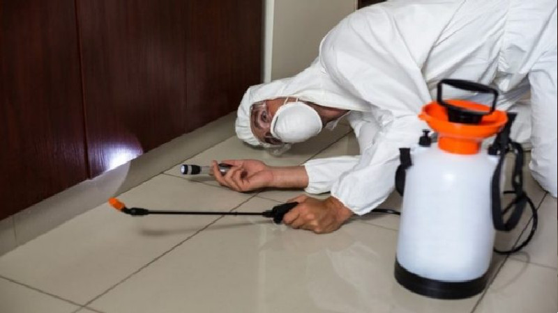 For the Best Results, Call the Exterminator in Peachtree City GA