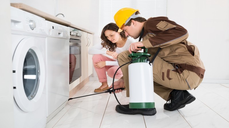 Why Emergency Pest Control is Essential