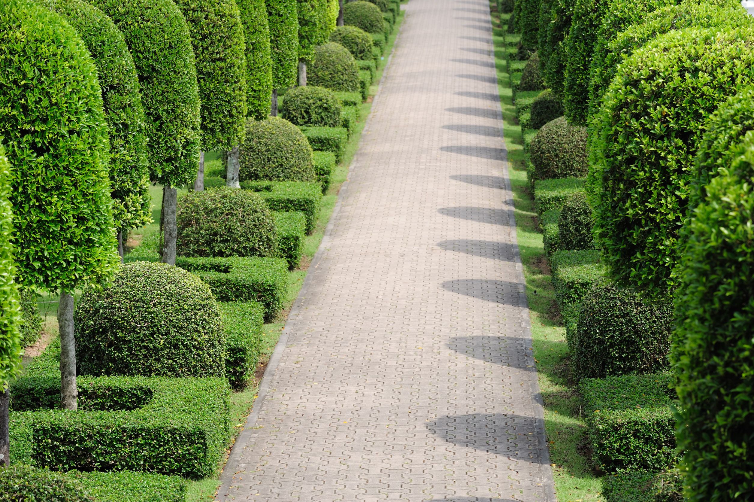 Characteristics of an Excellent Landscape Designer in Plymouth, MN