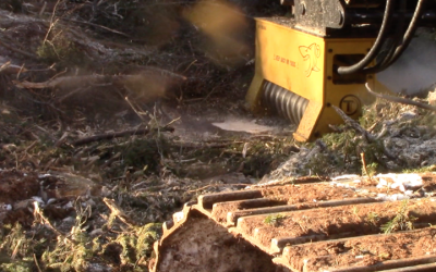 Make Mulching Easier with a Mulching Head for a Mini Excavator