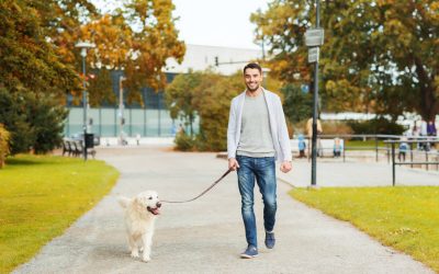 Transform Your Pet’s Behavior with Dog Obedience Training in Boca Raton FL