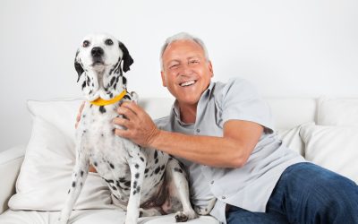 Behavioral Dog Training in Treasure Coast, FL, Can Help You Change Your Dog’s Behavior